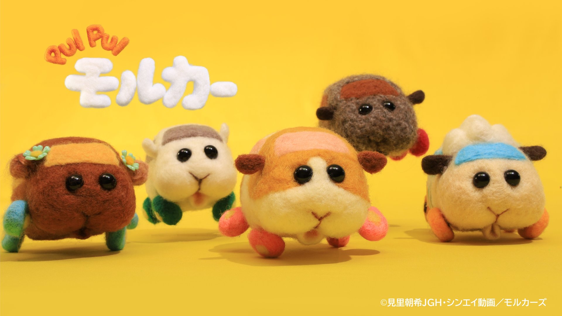 日本爆紅動畫 Pui Pui 天竺鼠車車 呆萌呆萌人氣直線狂飆 引新聞