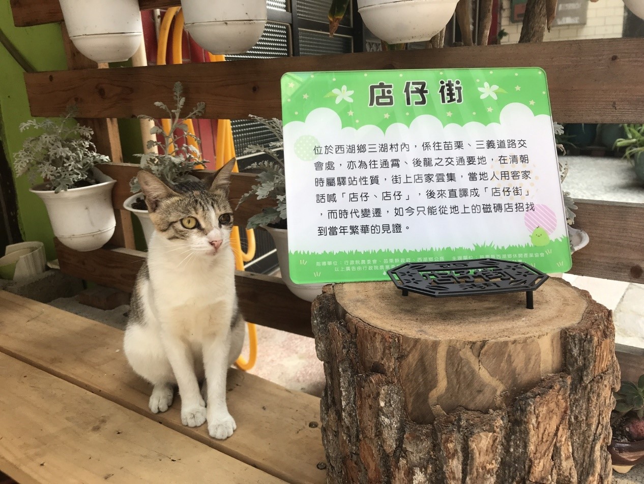 柚見花開春遊西湖聞香趣 引新聞 柚見花開春遊西湖聞香趣 引新聞