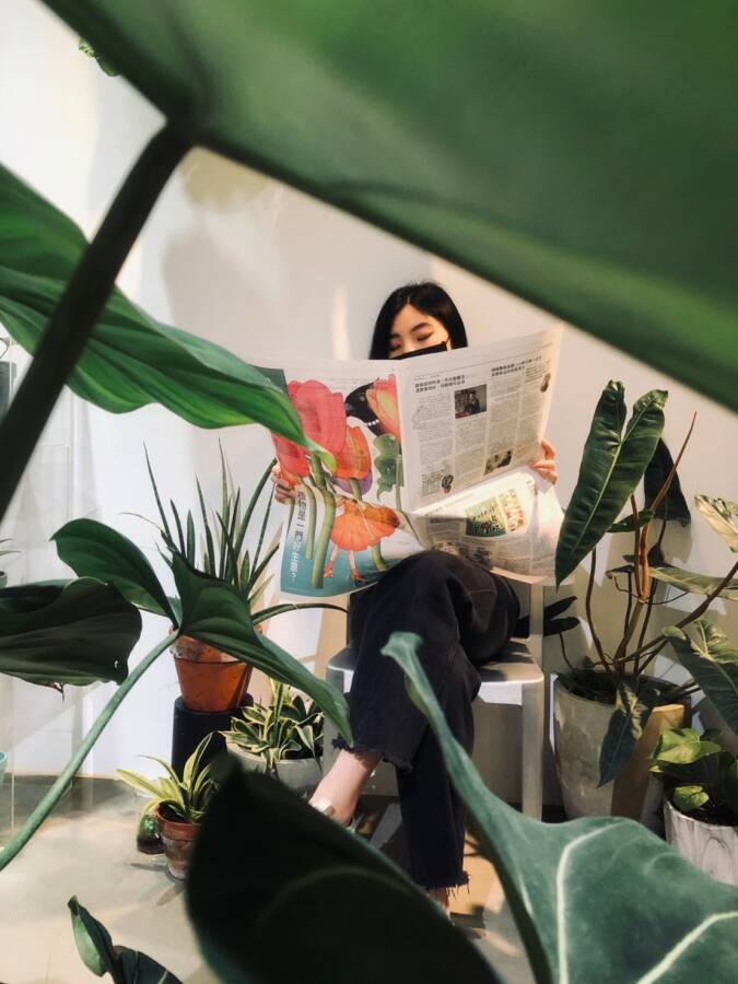 敞遊大地春回的美感旅行 台中紅點文旅免費展出「58天的偏植狂」植物系特展 - 台北郵報 | The Taipei Post