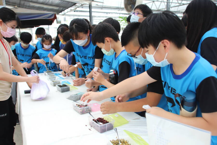 嘉大食農教育博覽會 體驗田園之樂增強免疫力 - 台北郵報 | The Taipei Post