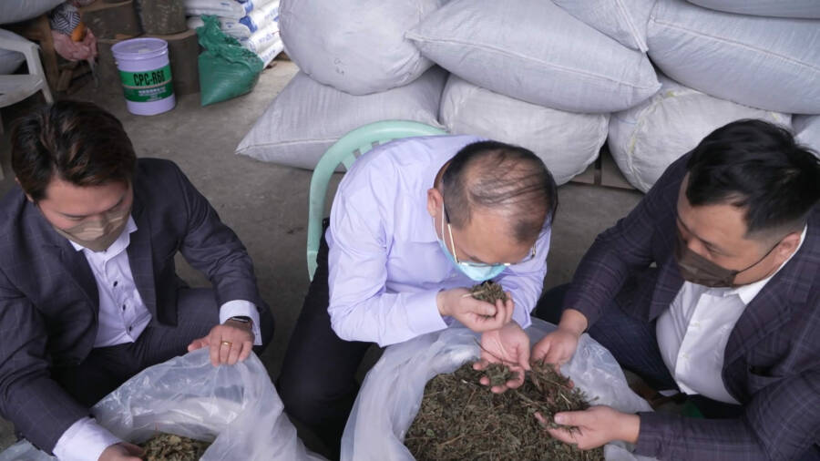 整合台灣中草藥產銷鏈 農產顧問林子鍵成推手 - 台北郵報 | The Taipei Post