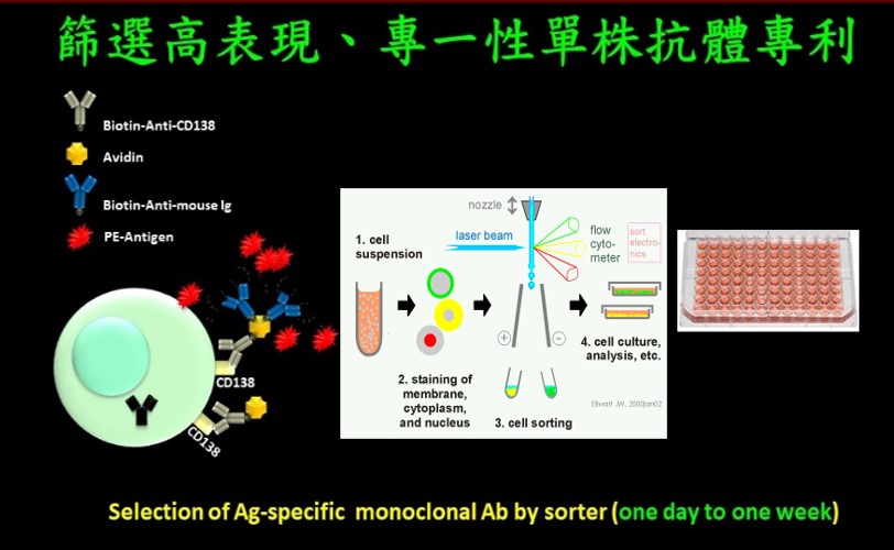 東海大學教授謝長奇發表可分辨呼吸道融合病毒的快篩試劑　受邀參加2022亞洲生技大展 - 台北郵報 | The Taipei Post