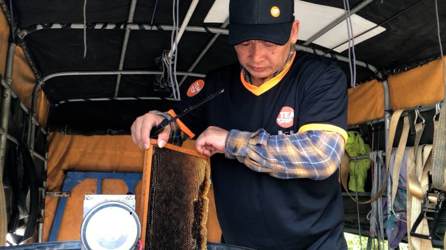 TEA TOP 推100%百花蜜製成「轟蜜茶」！VVIP超尊榮每次新品免費喝 | 蕃新聞