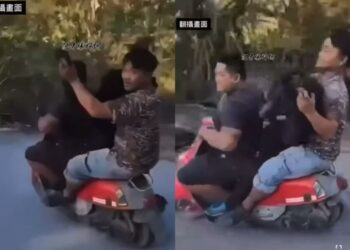 已殘殺4隻台灣黑熊！騎機車載熊屍「三貼遊街」9人起訴