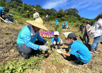 圖／學生親自種下甘藷苗，感受到食物的珍貴。（圖／新北市政府農業局提供）