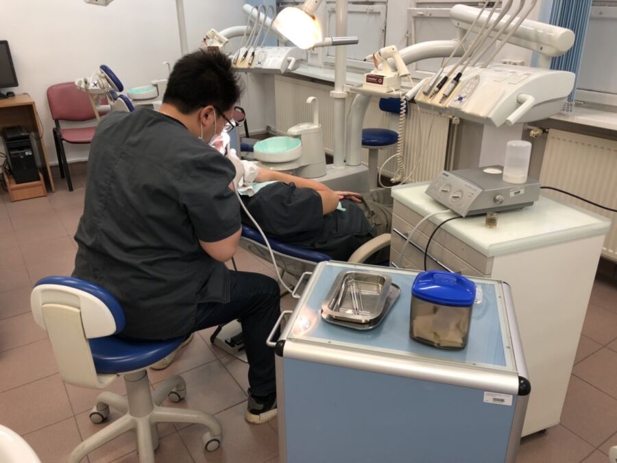 國際牙醫專業養成　台灣學生於波蘭完成牙醫學歷：挑戰、實踐與文化交流