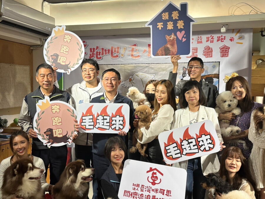 圖／李坤城提出六項的具體動保政策，避免虐待動物的悲劇再度發生，同時也加重虐待動物者的刑責。（圖／李坤城提供）