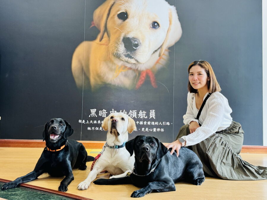 圖／「國際導盲犬日－淡古歡迎毛勇士」會進行導盲犬的古蹟異地受訓，大家不但可以從旁觀察，還能與牠們合影，帶回最可愛的回憶。（淡水古蹟博物館提供）
