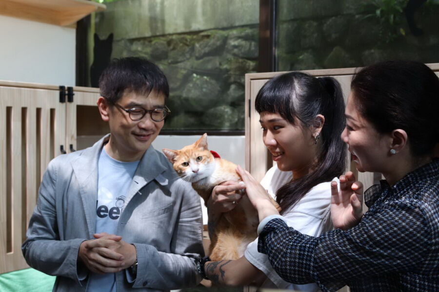 圖／農業局長李玟（左一）與新北市議員林裔綺（右一）於貓公所抱貓所長「硐鑼燒」。（新北市政府動保處提供）