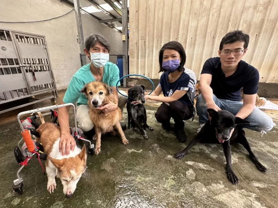 圖／中和動物之家設置犬貓長期照顧中心。（新北市政府動保處提供）