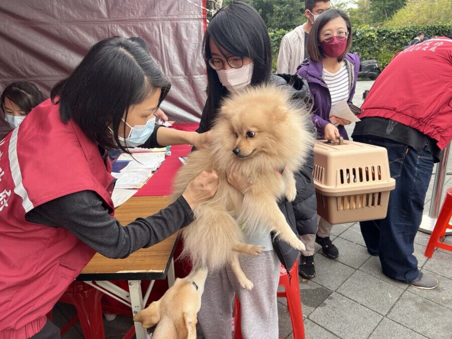 圖／飼主必須每年為家中的犬貓施打狂犬病疫苗。（新北市政府動保處提供）