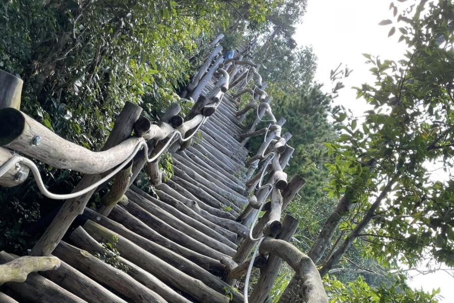 圖/陳世耀認為,頭嵙山與大坑步道群是全台最特別的,其中一段完全是由枕木鋪成。(翻攝大坑登山步道臉書)