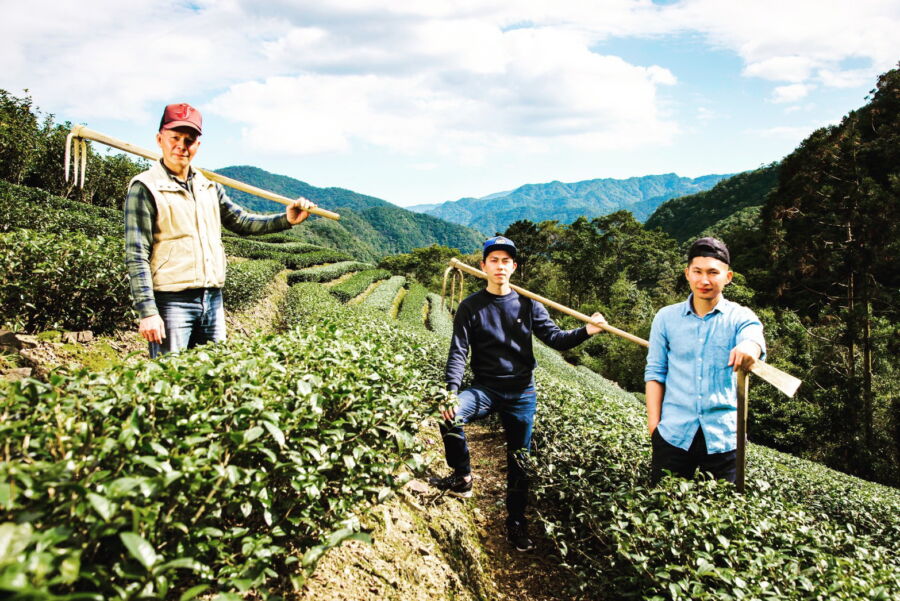 圖／年輕茶農白俊育強調，父親不僅是技藝上的嚴格老師，也時常對新科技與自動化的應用持保留態度。（業者提供）