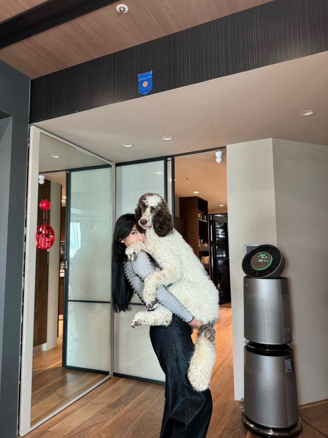 營養師高敏敏認養巨型貴賓狗　呆萌模樣融化眾網友 - 早安台灣新聞 | Morning Taiwan News