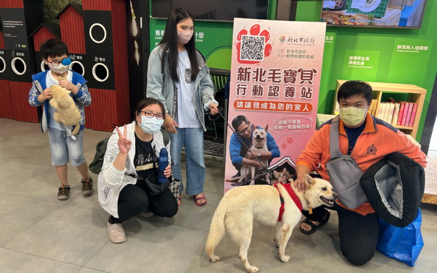 圖／幸運的「香草」也在日前舉辦的認養會被認養。（新北市政府動保處提供）