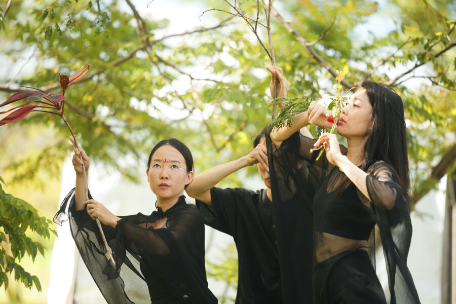 臺東縣府打造全臺最大瀰漫式療癒場域！《自然醒慢活祭－夏日療癒祭》領千人展開療癒旅程 | 引新聞
