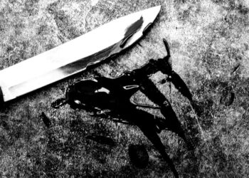 林口黑貓宅配站爆血案　女員工拔刀狂刺同事頸胸亡