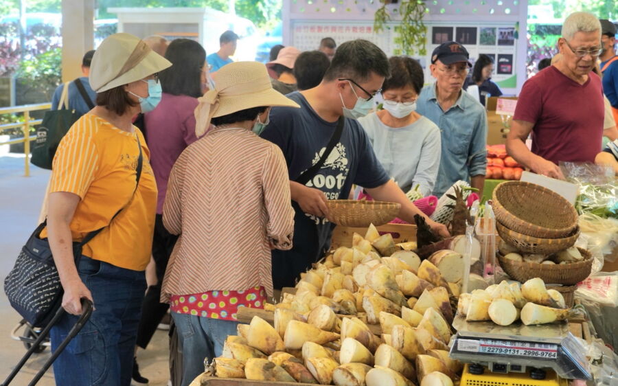 圖/希望廣場29日有新北健康三寶綠竹筍展售會。(新北市政府農業局提供)