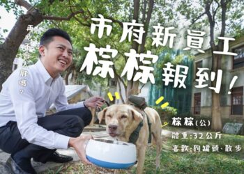 林智堅昔日「市犬棕棕」成棄犬？高虹安證實：上任前已送回動保所