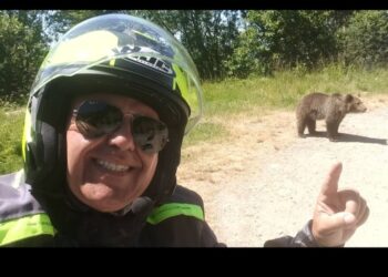 義大利男餵熊遭襲！手機紀錄全程　死前最後畫面曝光