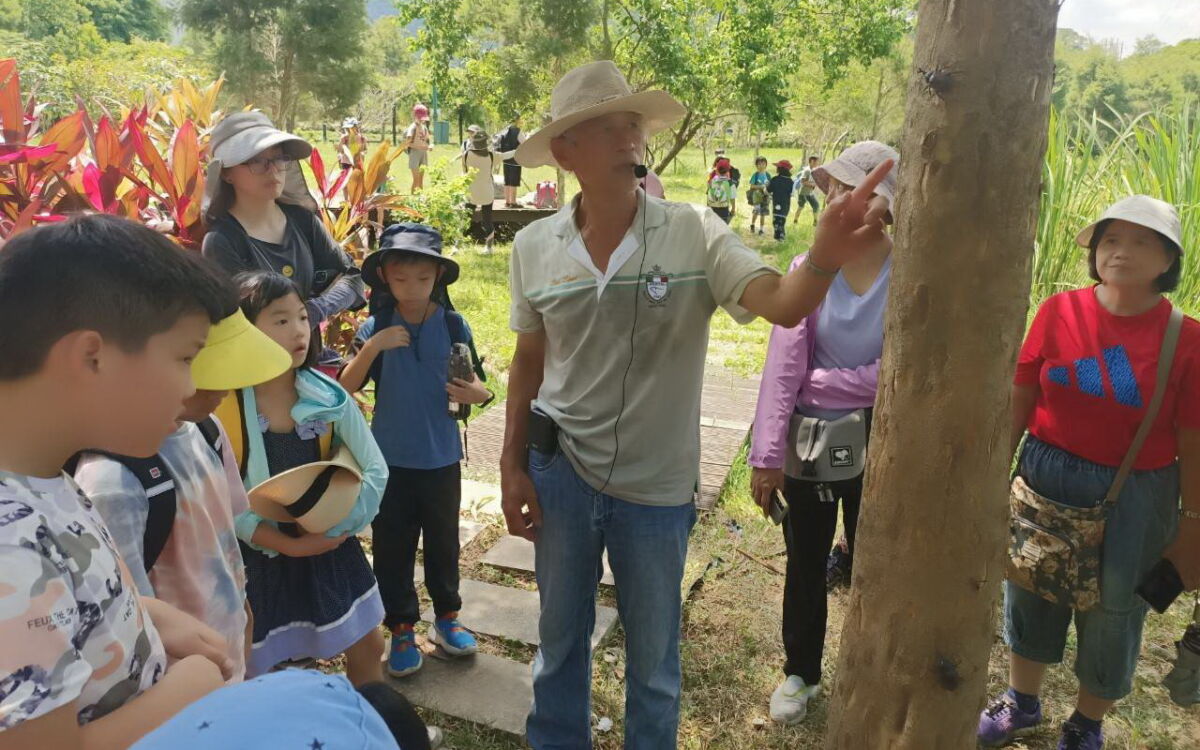 走進滬尾農村風光　淡水小農文創市集週二至週日營業