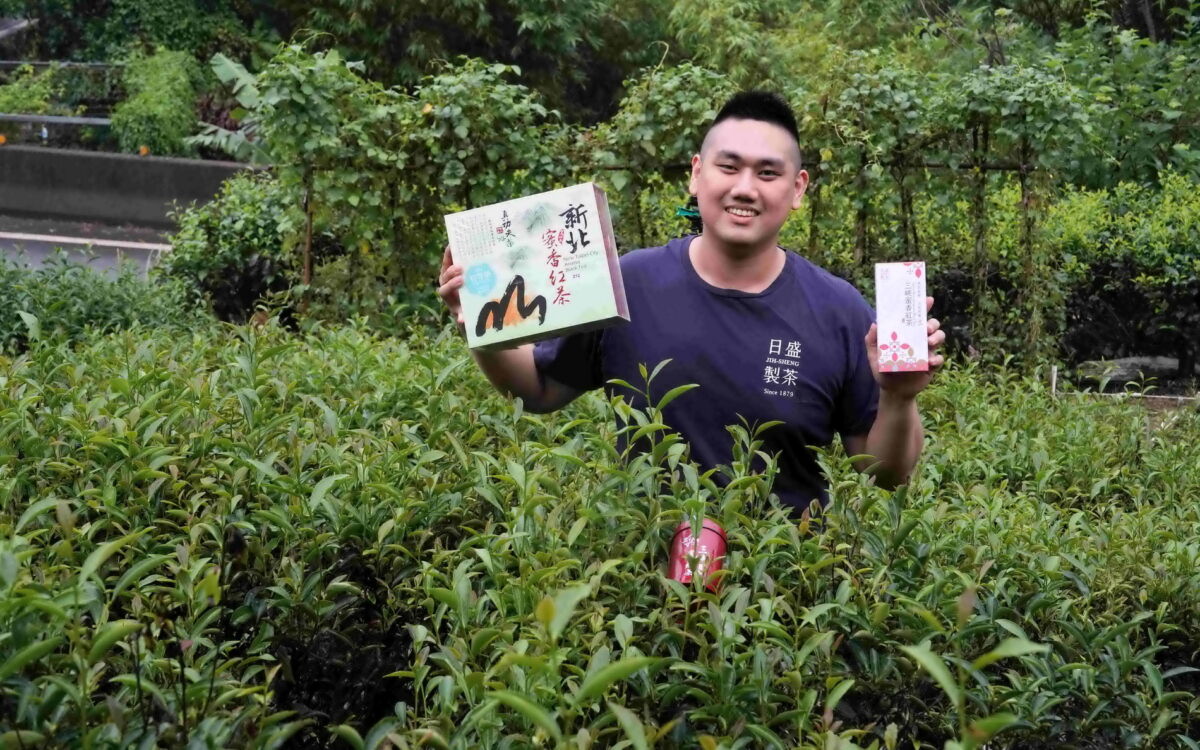 圖／三峽青農周子耀連續三年拿下新北蜜香紅茶特等獎。（新北市政府農業局提供）