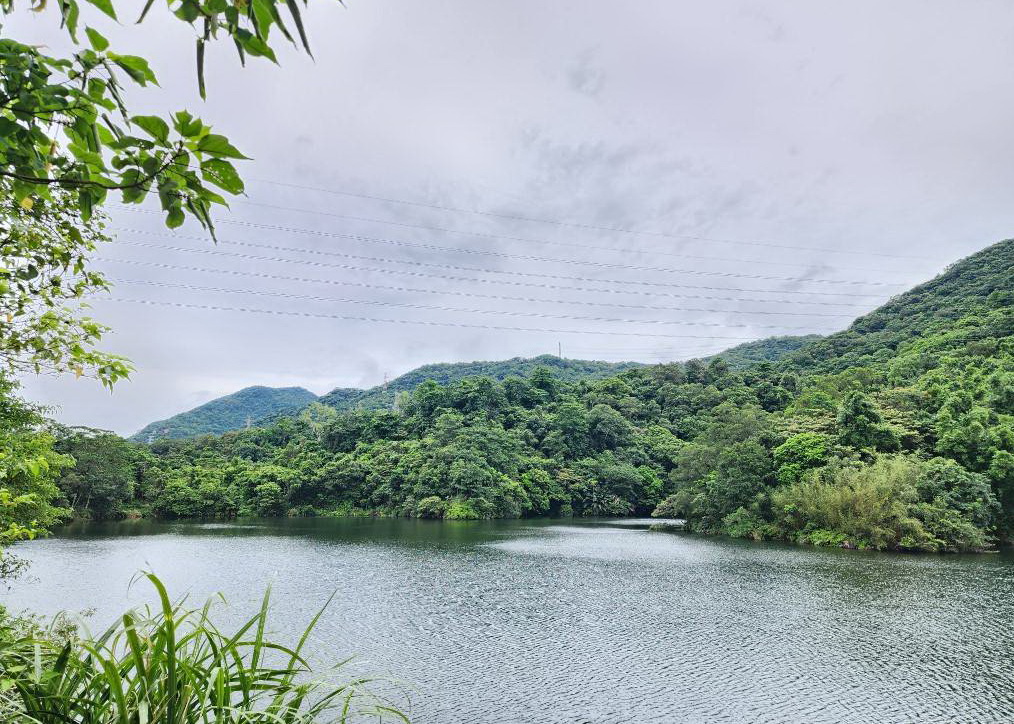 圖/新北市汐止區白匏湖,擁有豐富生態資源與美麗湖光山色的秘境。(新北市政府工務局提供)