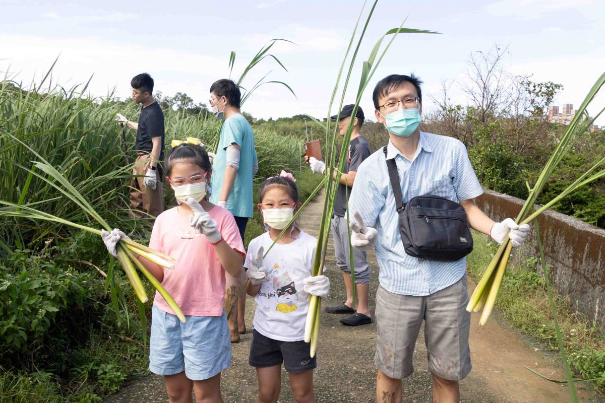 三芝茭白筍盛產中　農藝共融預告豐饒盛會 - 早安台灣新聞 | Morning Taiwan News
