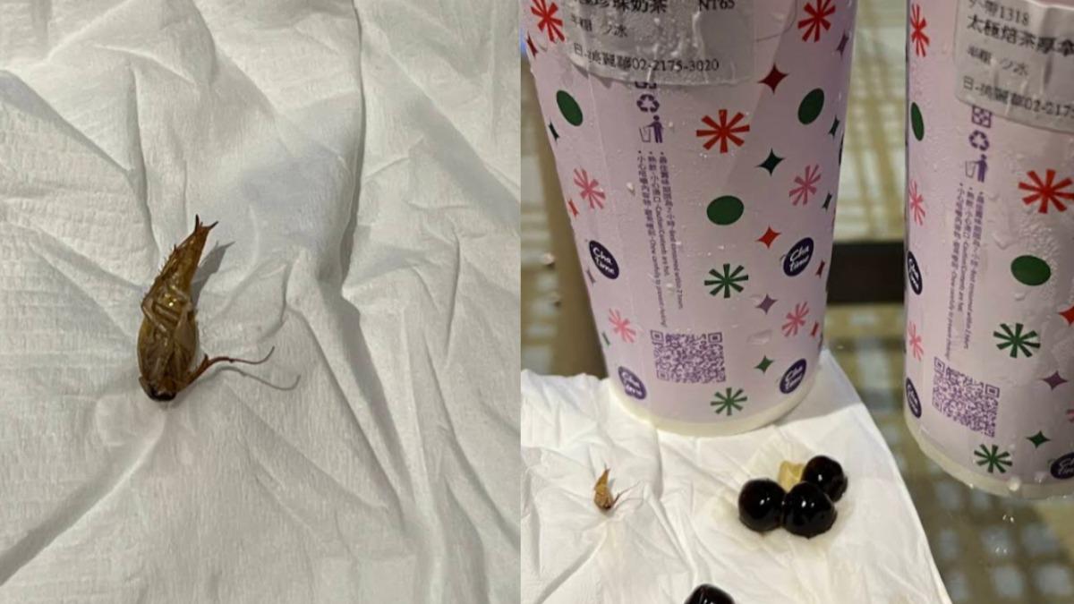 圖／有網友透露到日出茶太美麗華店買珍奶，卻喝到一整隻蟑螂。（翻攝自Google評論）
