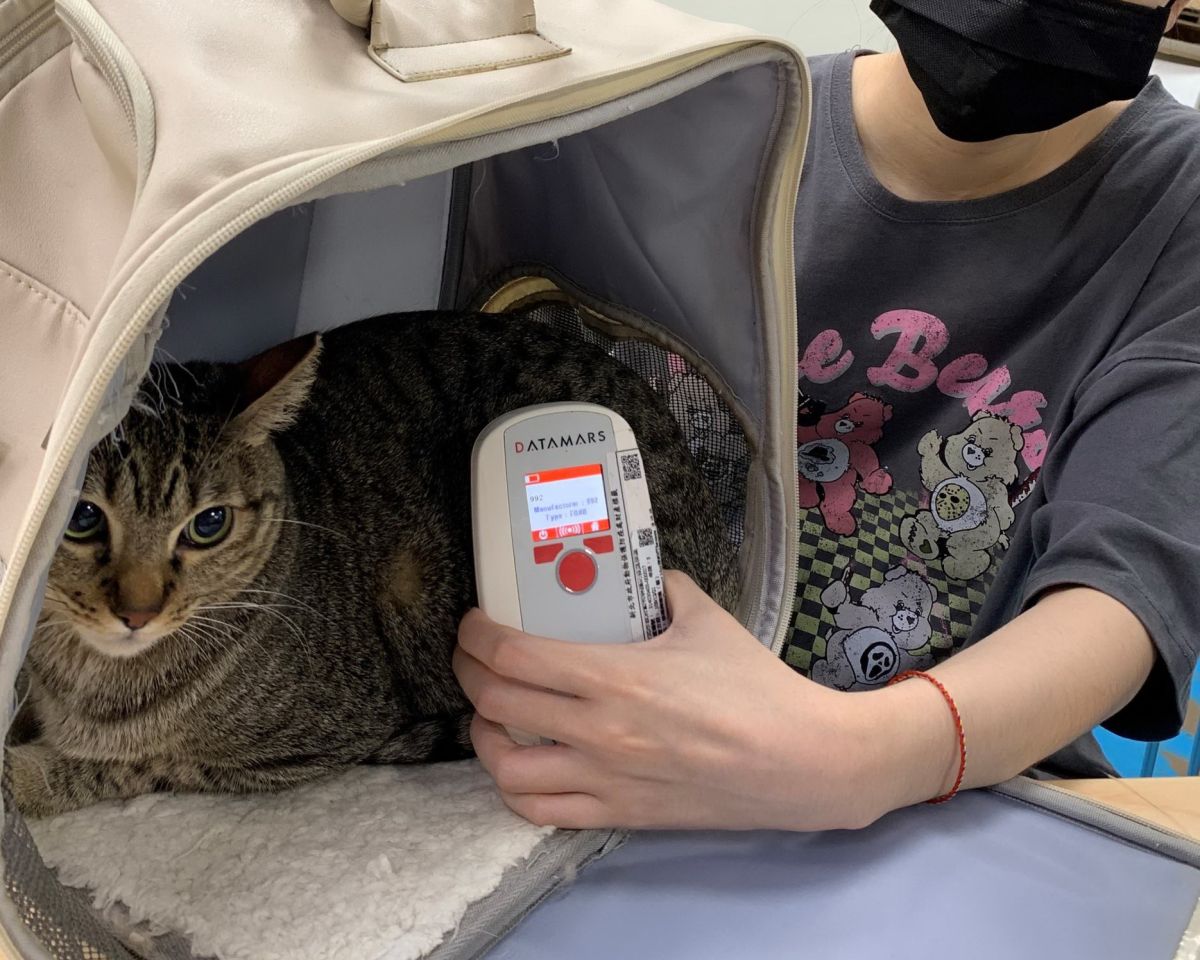 圖/寵物植入晶片完成寵物登記後,就不怕走失回不了家。(新北市政府動保處提供)