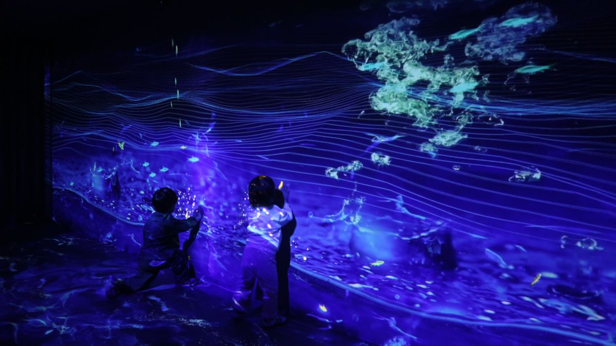 圖／緩緩坪林沈浸式光影展「光影茶鄉四季」。（新北市坪林區公所 提供）