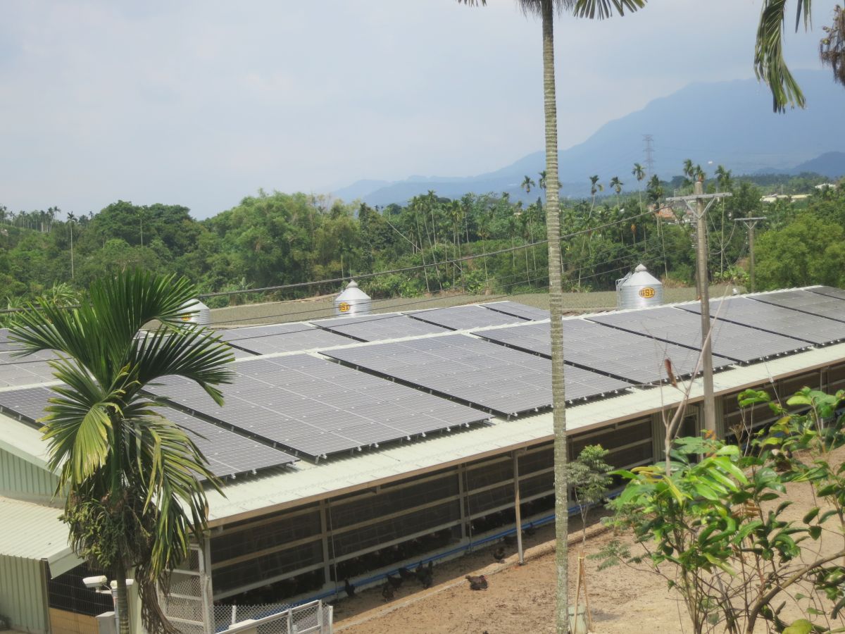 圖／勤億蛋品導入的負壓水簾式系統能使雞舍保持「負壓環境」，大幅降低病原亂流的風險。（勤億蛋品 提供）