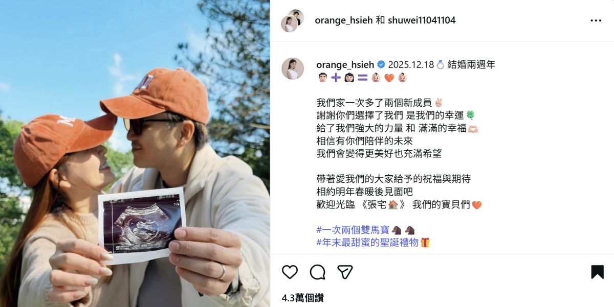 圖／兩人在社群上驚喜宣布「一次多了兩個新成員」，正式對外公布已懷上雙胞胎。（翻攝 IG）