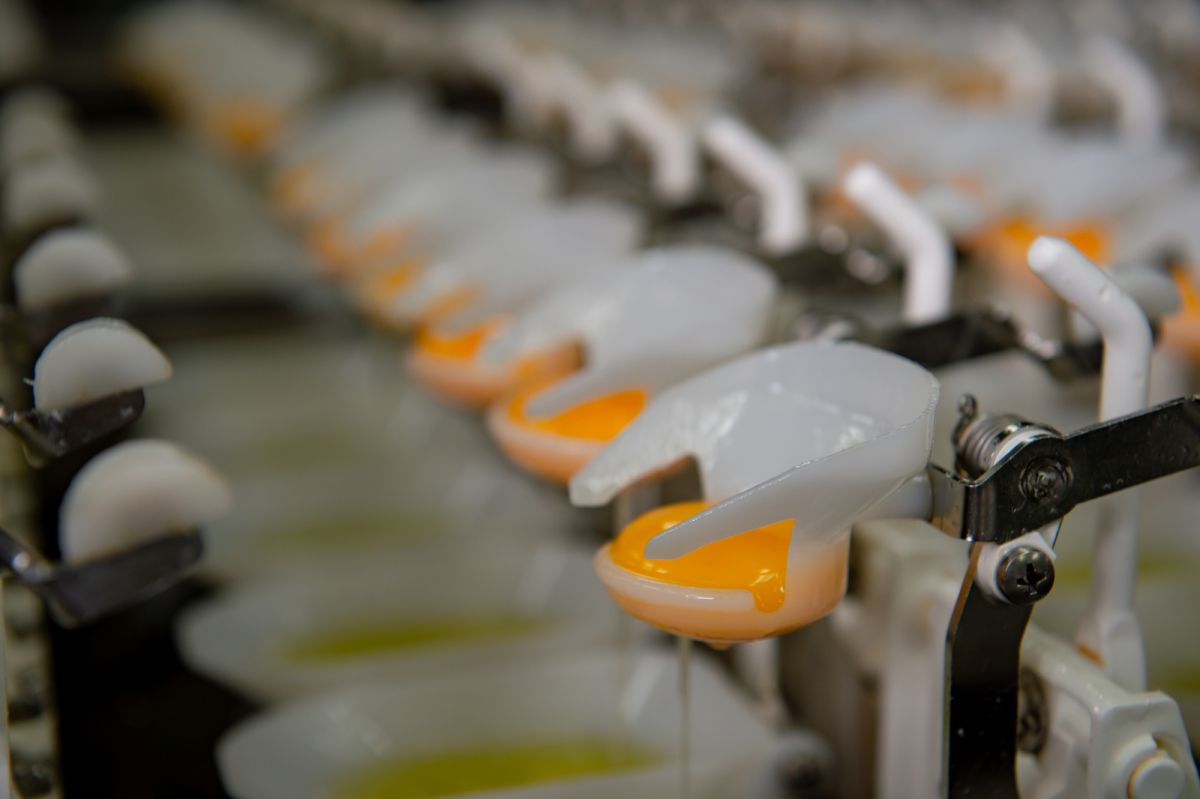 年前缺工潮來臨！供應鏈面臨挑戰勤億揭示「液蛋五大客製化」成產線轉型關鍵| 蕃新聞