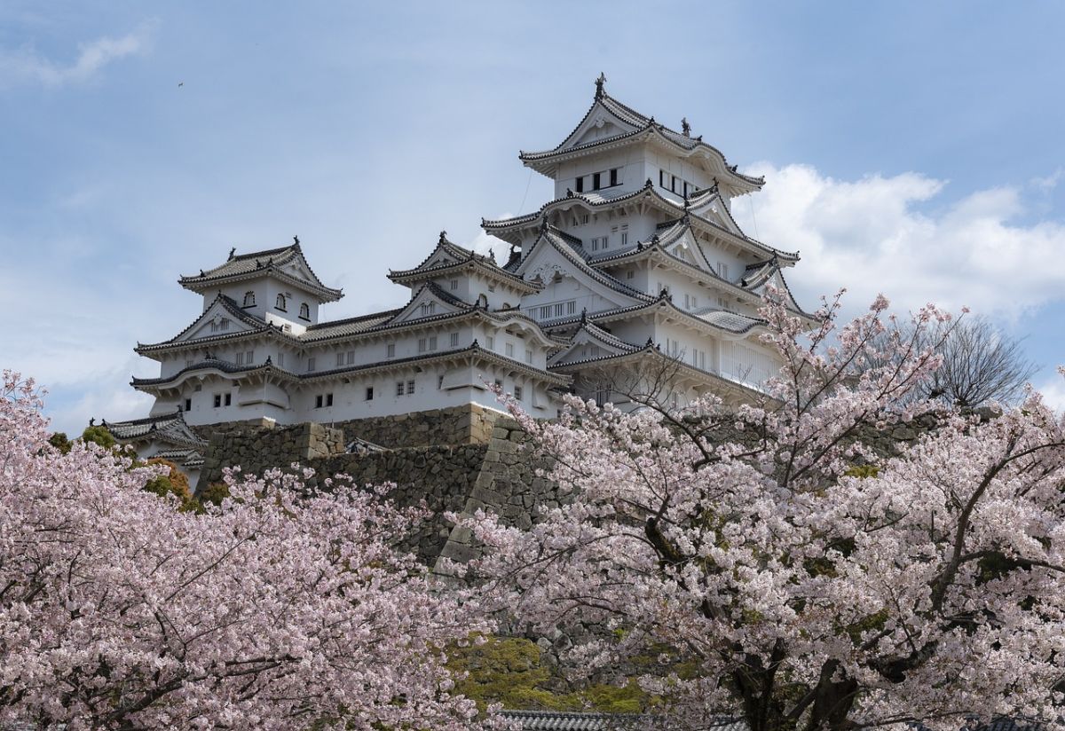示意圖／旅居日本的網友分享返鄉戰利品，行李箱內塞滿台灣的抽取式衛生紙與菜瓜布。（擷取自 免費圖庫Pixabay）