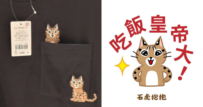 圖/NET新品遭爆抄襲「石虎抱抱」作品。(CTWANT 提供)