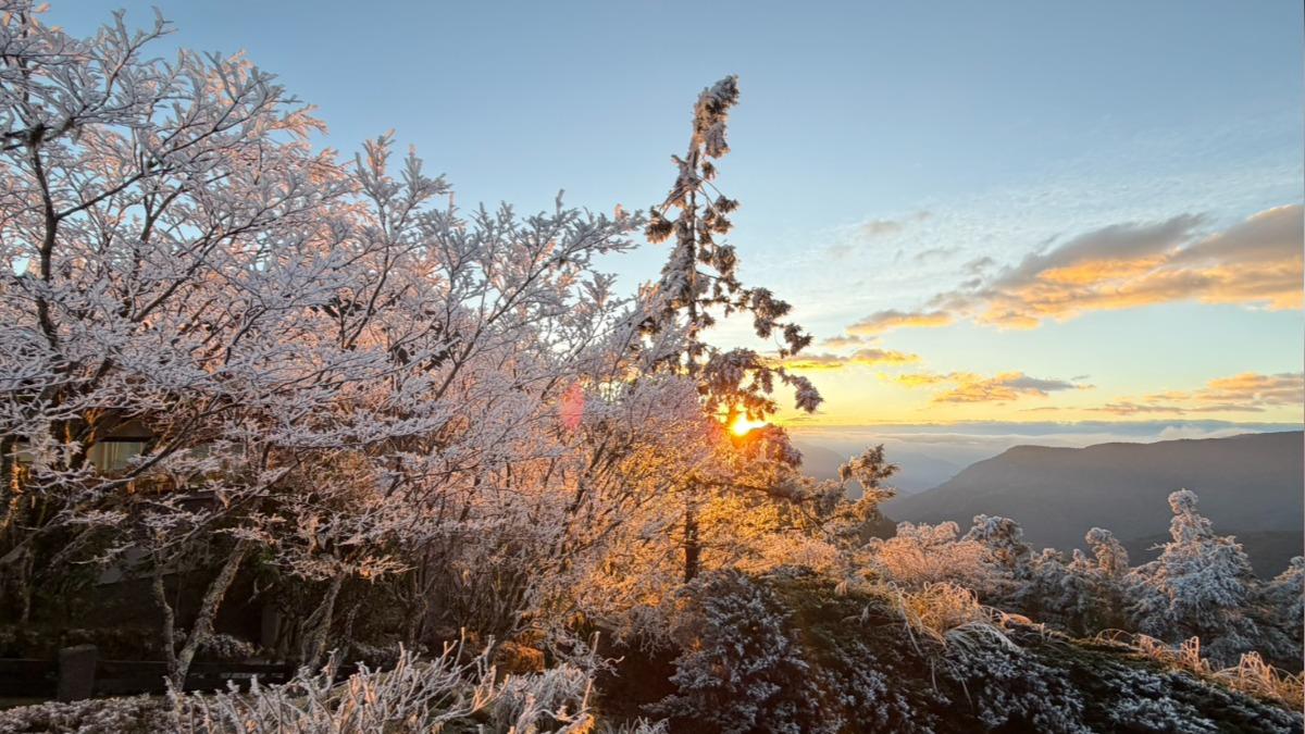 圖／太平山今晨溫度達到零度，絕美風景曝光。（TVBS 提供）