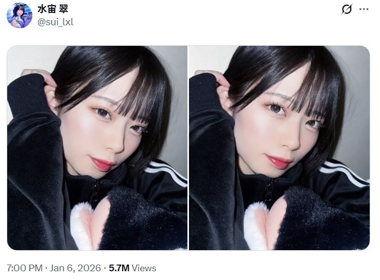 圖/水宙翠分享看似「爆乳」的自拍照,其實胸前抱著一隻虎鯨絨毛玩偶。(翻攝自X@sui_lxl)