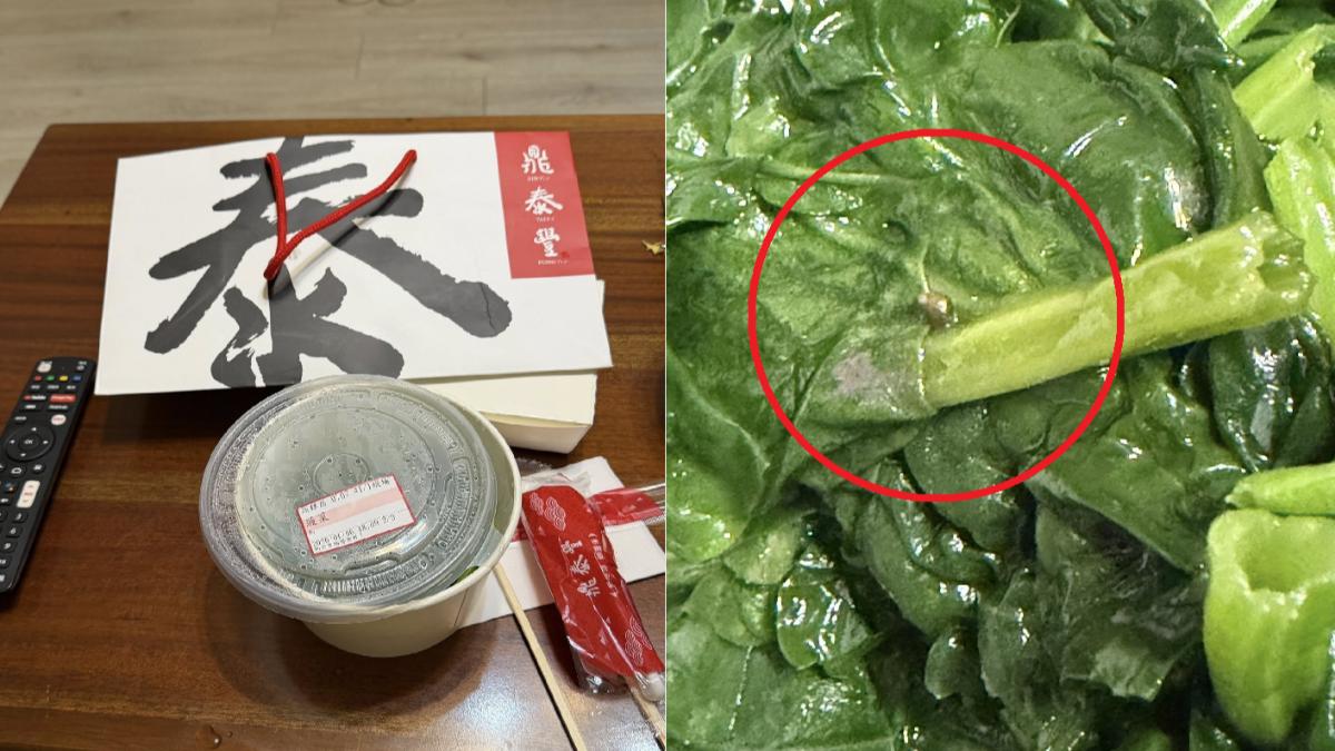 圖/有民眾購買鼎泰豐的炒菠菜,竟在菜葉中發現蝸牛。(TVBS 提供)