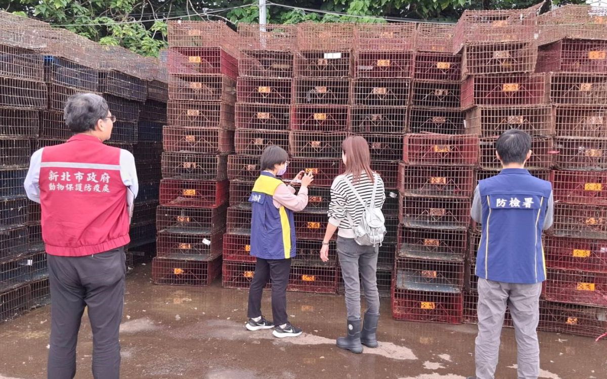 圖／動保處會同防檢署查核台北市集籠場清洗消毒。（新北市政府動保處提供）