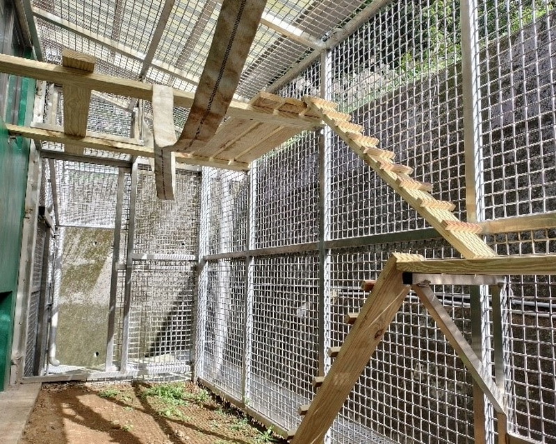 圖／三芝動物之家小型哺乳動物空中廊道。（新北市政府動物保護防疫處提供）