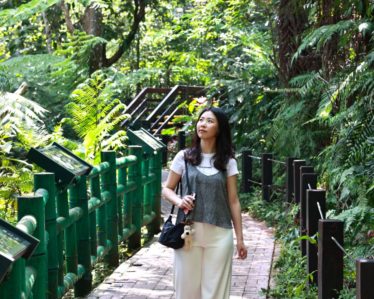 圖／土城太極嶺與桐花公園周邊步道綠意環繞，適合春節期間闔家健行。（新北市政府觀光旅遊局提供）