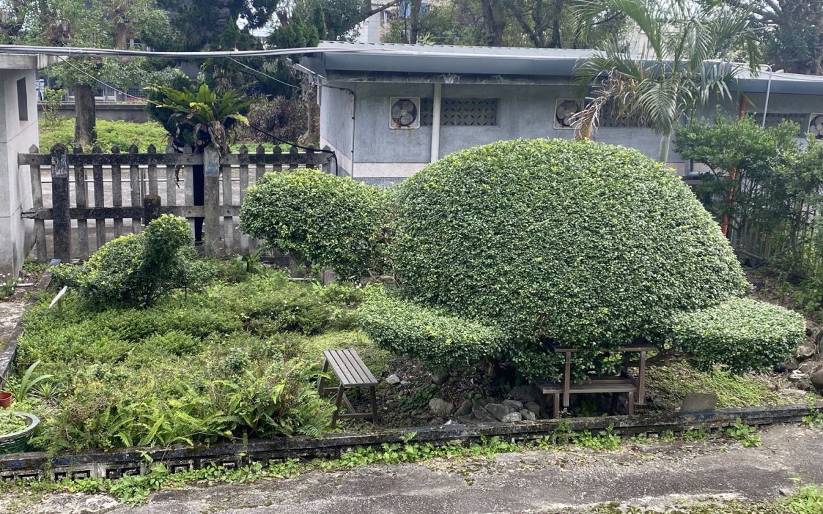 圖／ 龜山站的站內以烏龜童趣造型修剪植栽。（臺鐵公司提供）