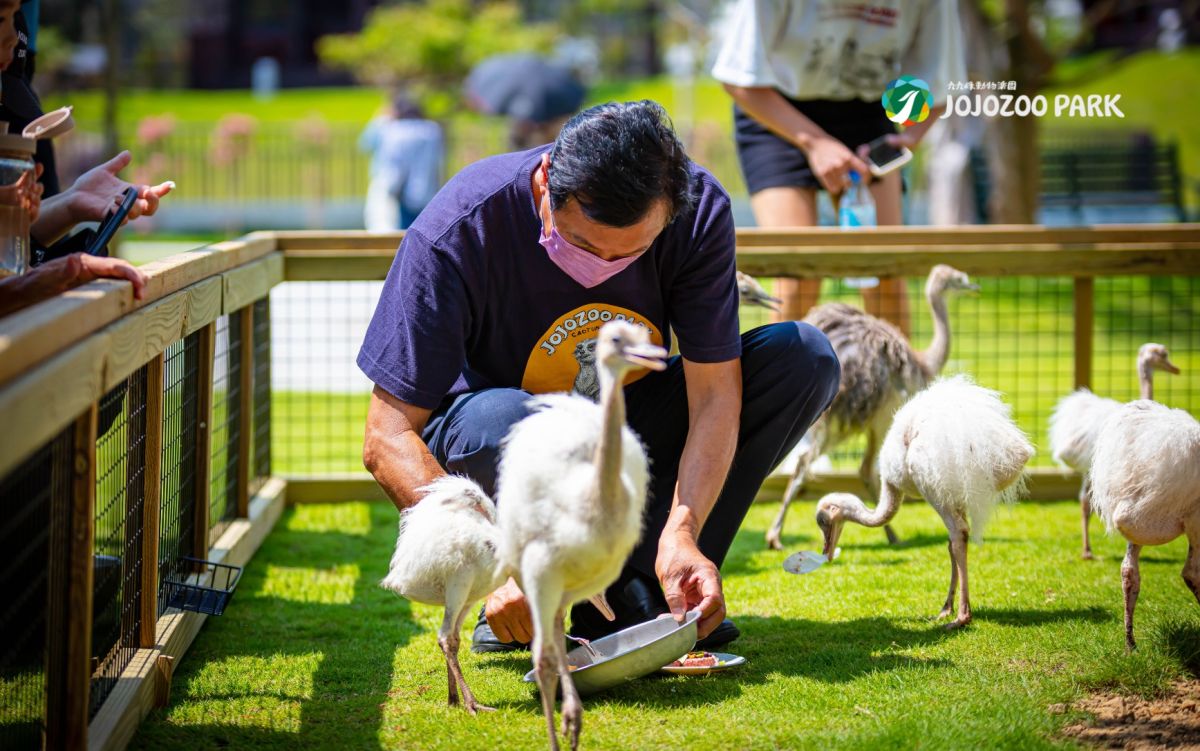 圖／園內照片。（九九峰動物樂園提供）