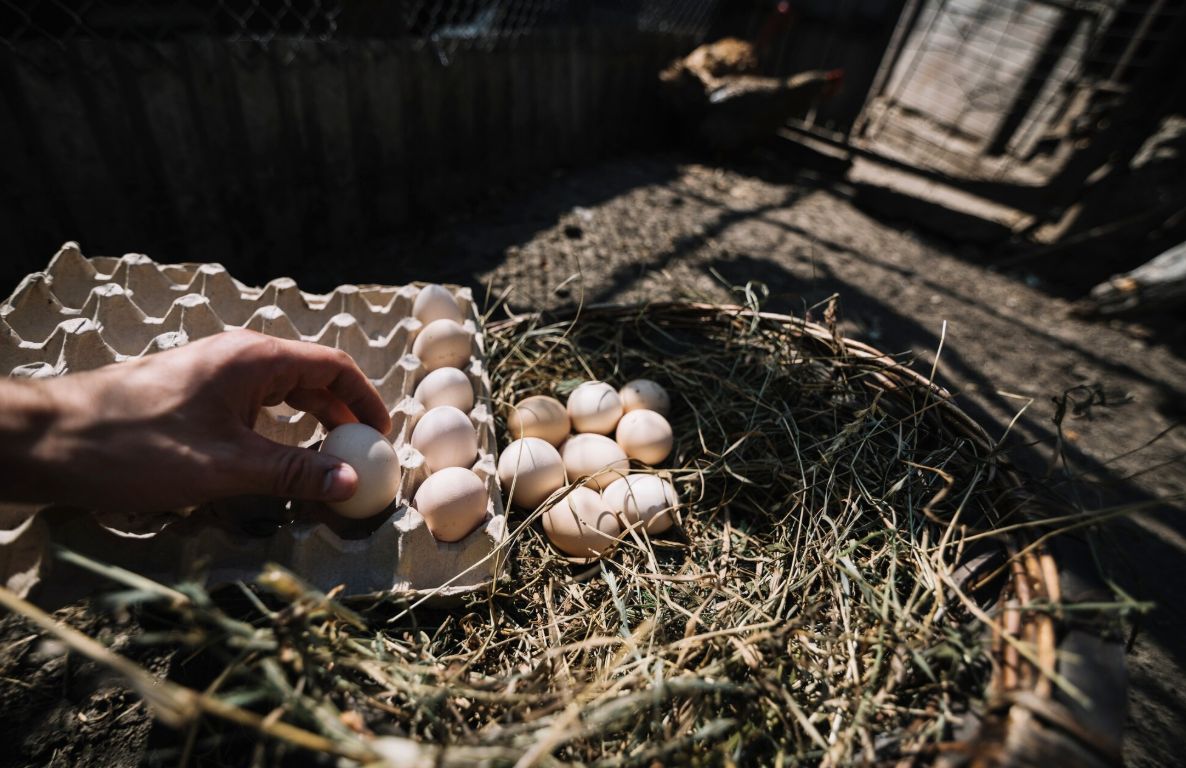 示意圖／擷取自免費圖庫freepik