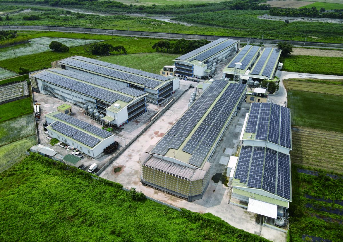 圖／勤億的科技化綠能牧場具備嚴密防疫系統，是進軍東京食品展、挑戰極致食安的最強後盾。（勤億蛋品 提供）