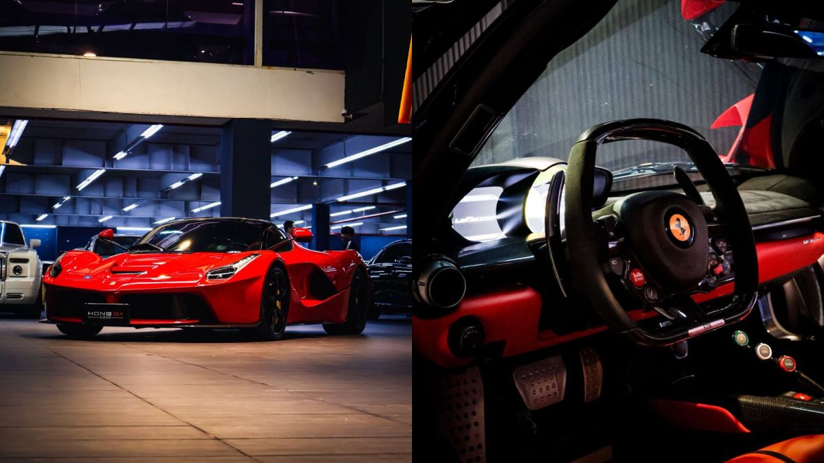 揪團賞1.35億馬王!蟹老闆發文邀請 曝背後浪漫心願