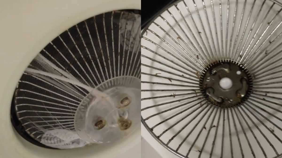 圖／網友在社群平台發文指出，家中蚊子疑似從抽油煙機排風孔進入室內。（翻攝 Threads）