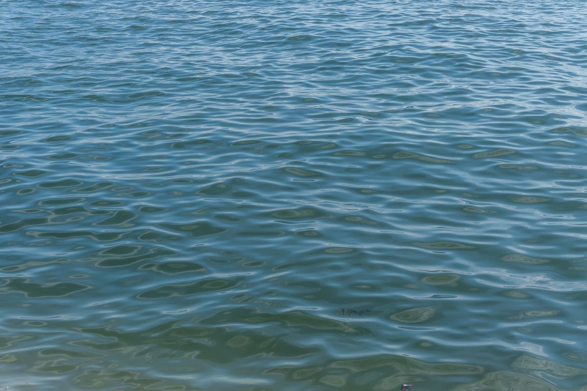 示意圖／新北市三重區重新堤外大漢溪18日上午傳出溺斃案件。（擷取自 免費圖庫freepik）