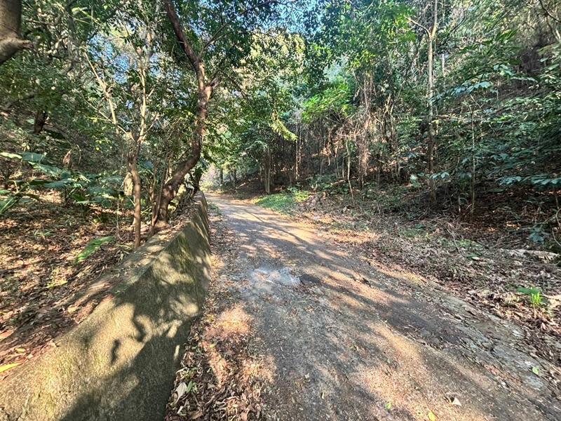 圖／彰化縣員林市百果山地區發生一起駭人聽聞的兇殺棄屍案。（民眾提供）